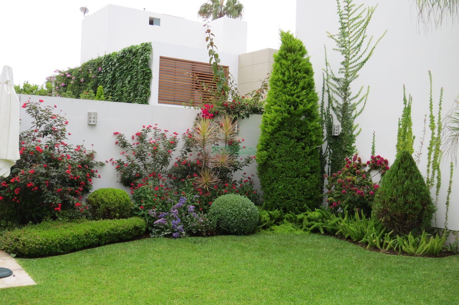 Arboricultura